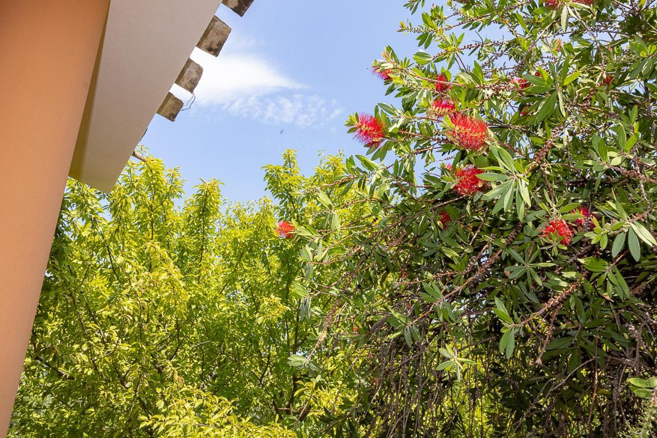 Villa Caterina La Maddalena  Zewnętrze zdjęcie